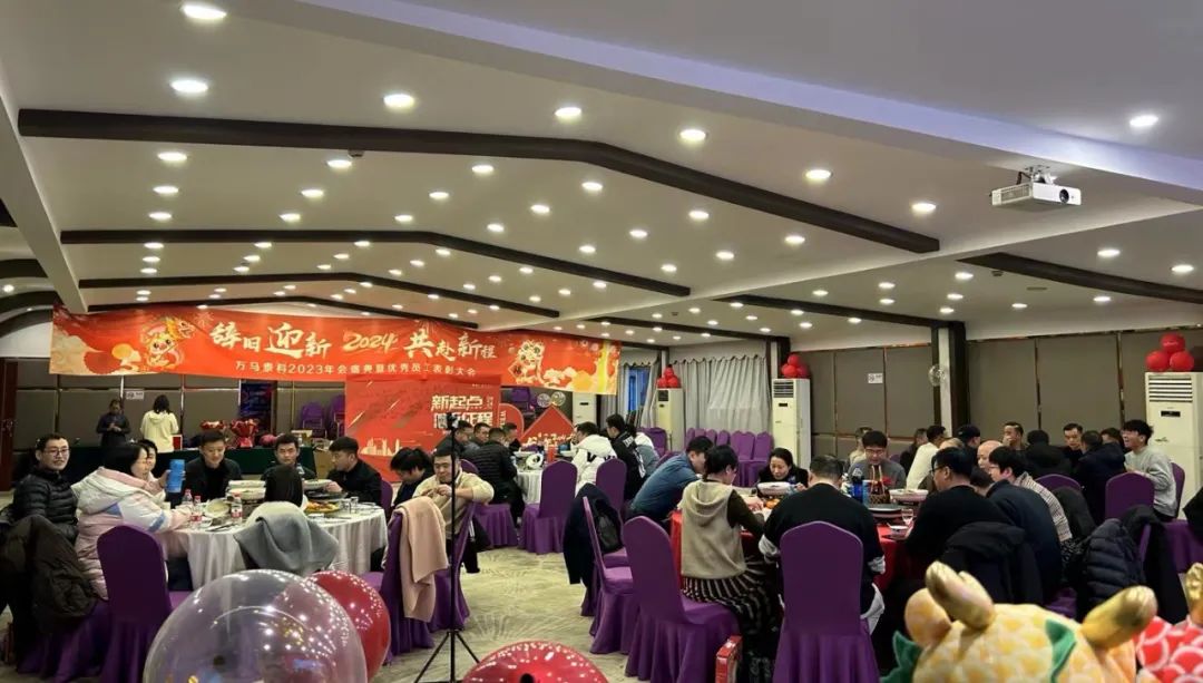 万马泰科2024新春年会 (2)